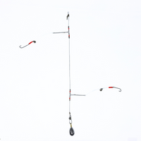 Fully Rigged Bottom Rig with Long Shank Hooks
